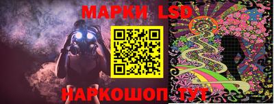 гидропоника Будённовск