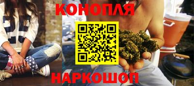 гидропоника Будённовск