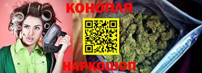 гидропоника Будённовск