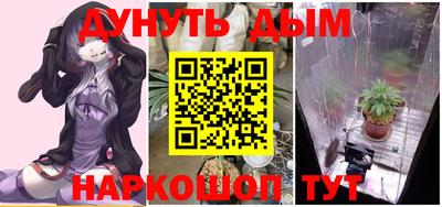 шишки Бузулук