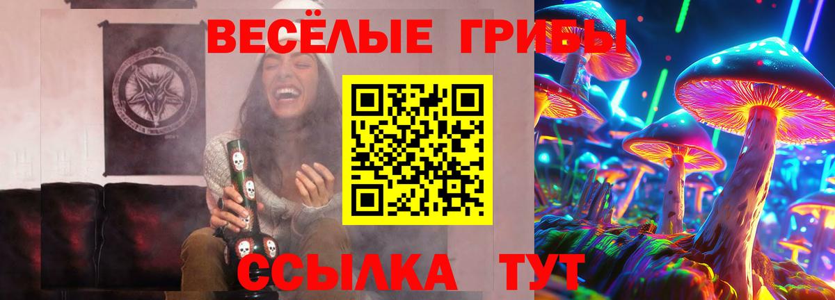 Галлюциногенные грибы Magic Shrooms  Вход с VPN  Галлюциногенные грибы Magic Shrooms  Кропоткин 